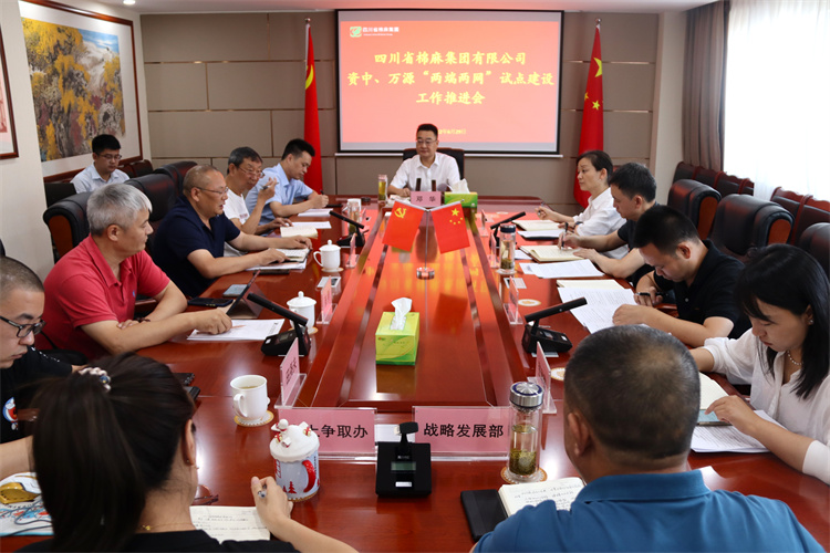 鄧華主持召開資中、萬源“兩端兩網”試點建設工作推進會