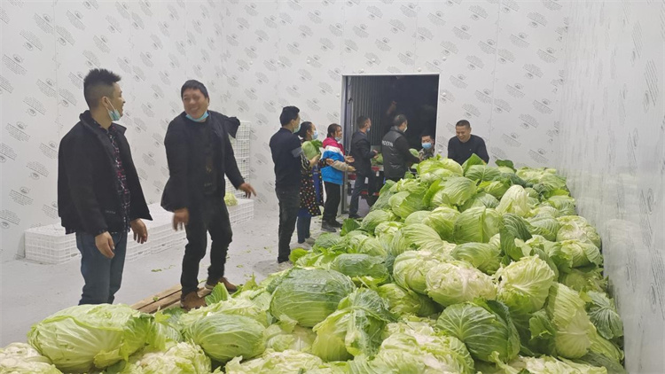 1669549500294229.jpg 圖片4.jpg