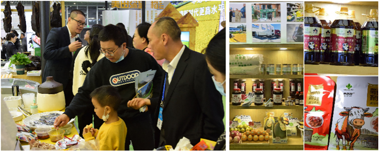 1698651925578919.jpg 圖片6.jpg