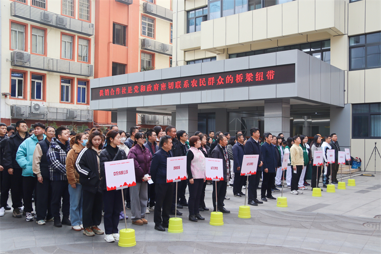 1705283615449389.jpg IMG_0431.jpg